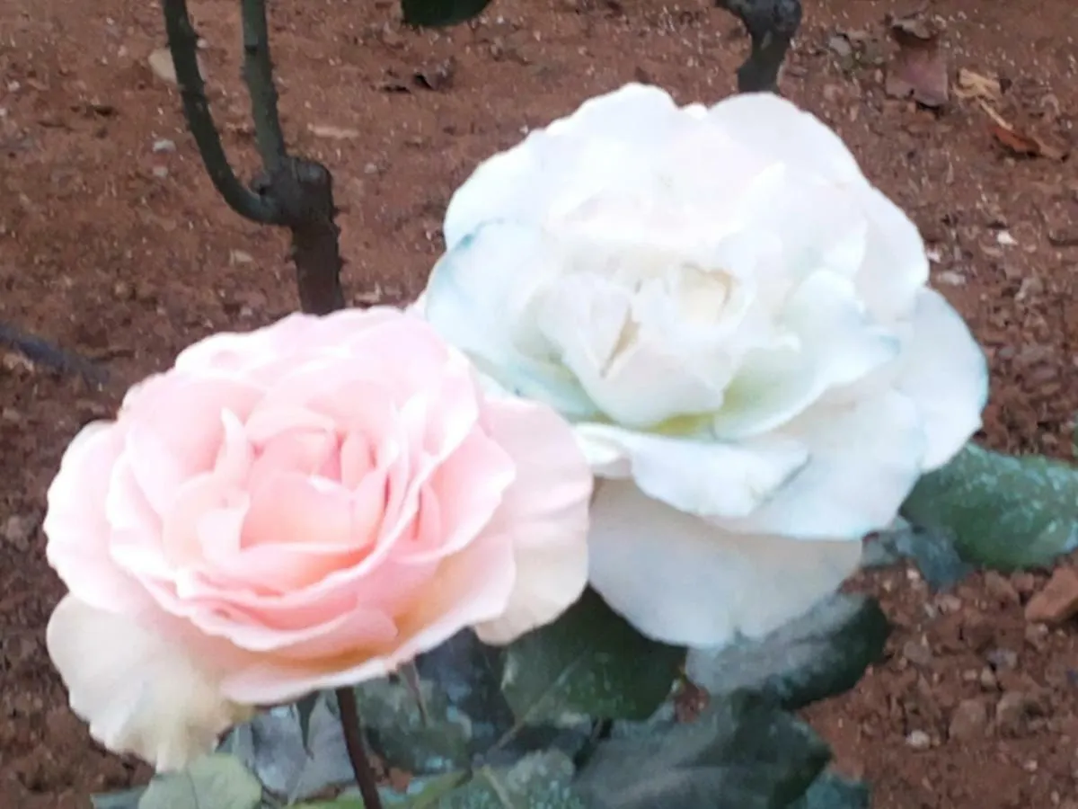منزل الضيف Roccapalumba  في Masseria Acque Di Palermo إيطاليا